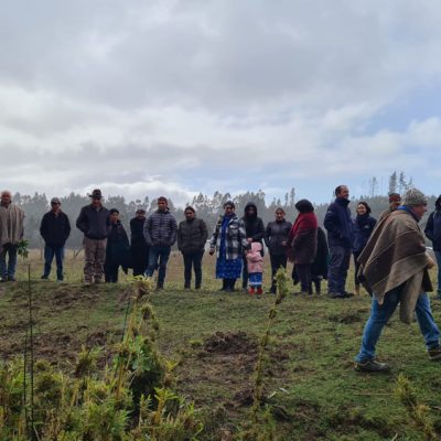 Diagnóstico de obras de riego en comunidades Mapuche, región de La Araucanía