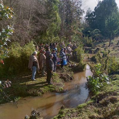 Diagnóstico de obras de riego en comunidades Mapuche, región de La Araucanía